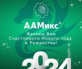 аамикс 2024